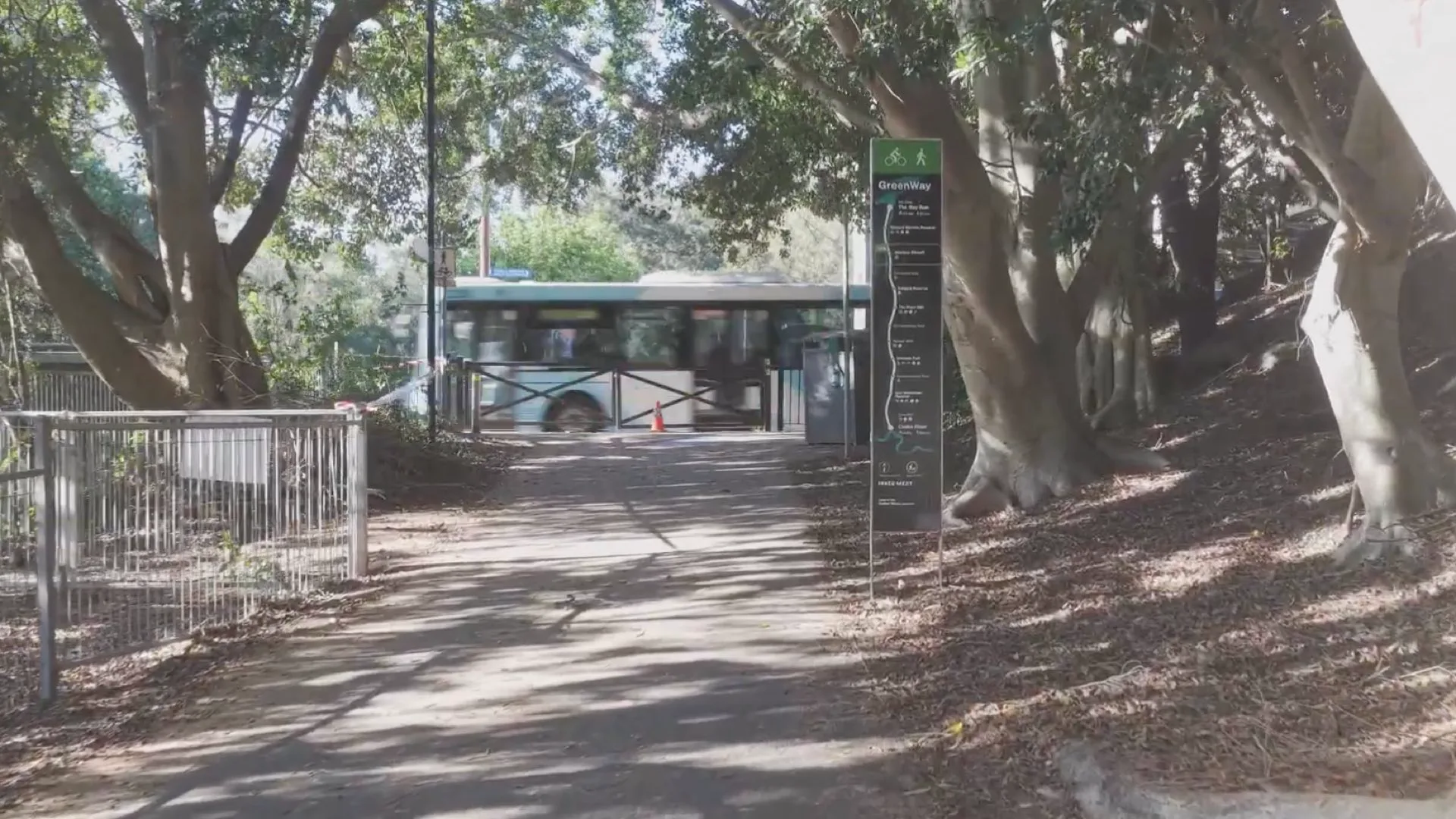 A shaded footpath under large fig trees beside a GreenWay trail sign, with a bus passing behind.