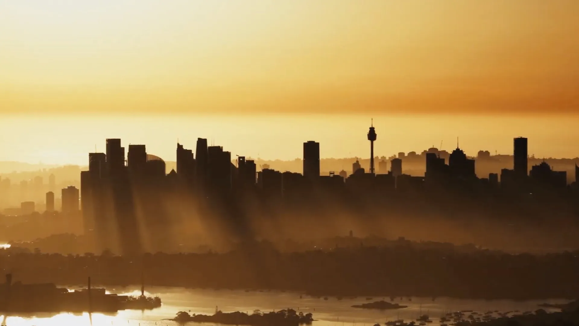 Aerial view of the Sydney city skyline at sunrise, Sydney Tower visible through the haze.